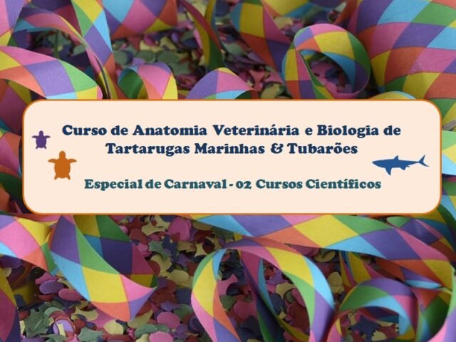 Curso de Anatomia Veterinária de Tartarugas Marinhas e Tubarões – Especial de Carnaval Curso de Anatomia Veterinária de Tartarugas Marinhas e Tubarões – Especial de Carnaval
