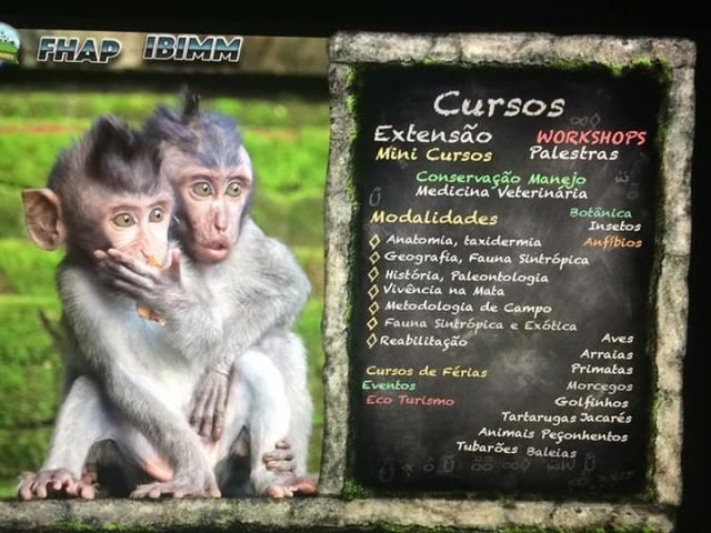 CURSOS OFERECIDOS: CURSOS OFERECIDOS: