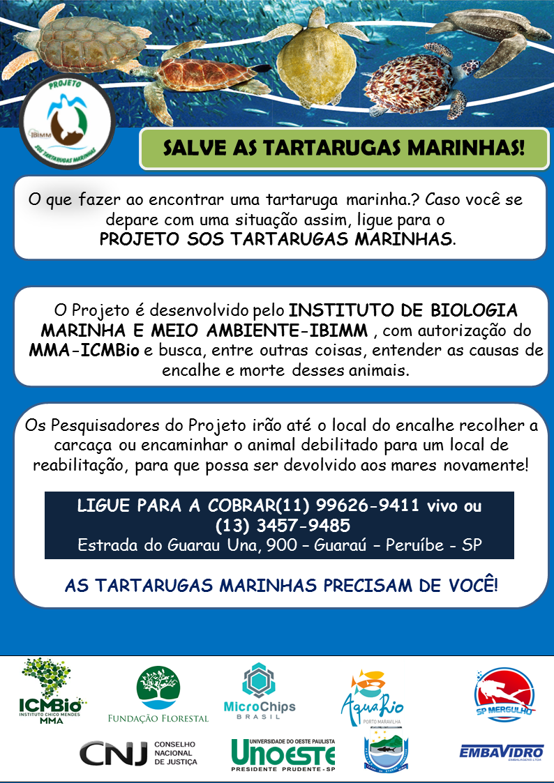 Ecologia e conservação das tartarugas marinhas – Projeto IBIMM-SOS tartarugas marinhas- Peruibe – SP
