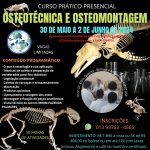 CURSO PRÁTICO DE OSTEOTÉCNICAS E OSTEOMONTAGEM