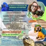 CURSOS