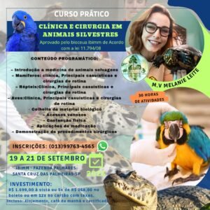 CURSOS