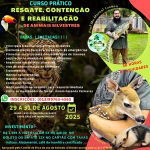 CURSOS