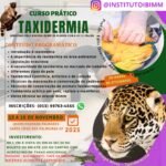 CURSOS