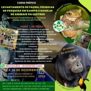 CURSOS