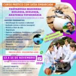 CURSOS