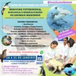 CURSOS