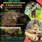 CURSOS