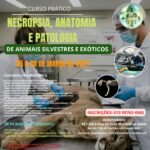 CURSOS