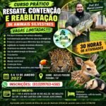 CURSO:RESGATE DE FAUNA SILVESTRE, CONTENÇÃO E REABILITAÇÃO – 2ª TURMA