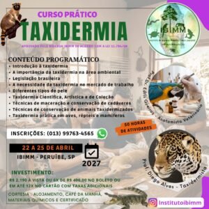 CURSOS